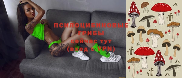 дурь Абинск