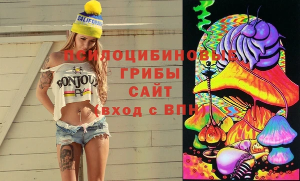 дмт Алексеевка