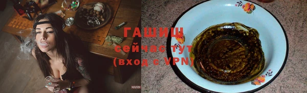 индика Алзамай