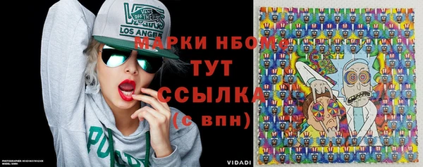 индика Алзамай