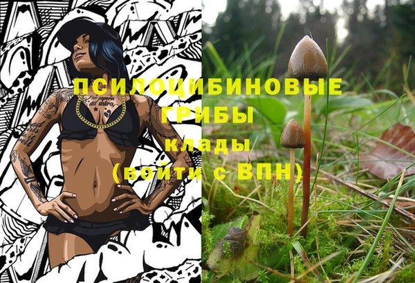 PSILOCYBIN Козловка