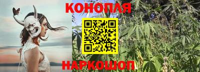 прущие крисы Обнинск