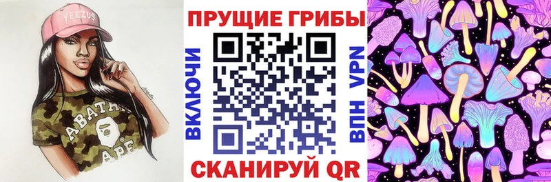 закладки  Белореченск  Галлюциногенные грибы Magic Shrooms 