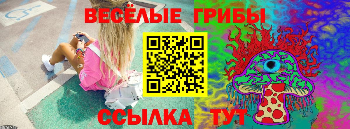 Псилоцибиновые грибы ЛСД Белореченск